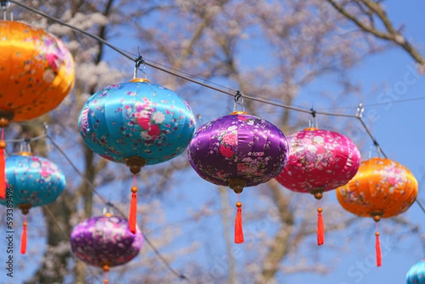 Fototapeta 乙字ヶ滝