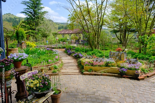 Obraz 春のローザンベリー多和田　イングリッシュガーデン