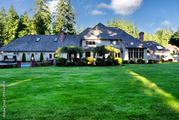 Fototapeta Green large backyard of home with green plush lawn and evergreen trees