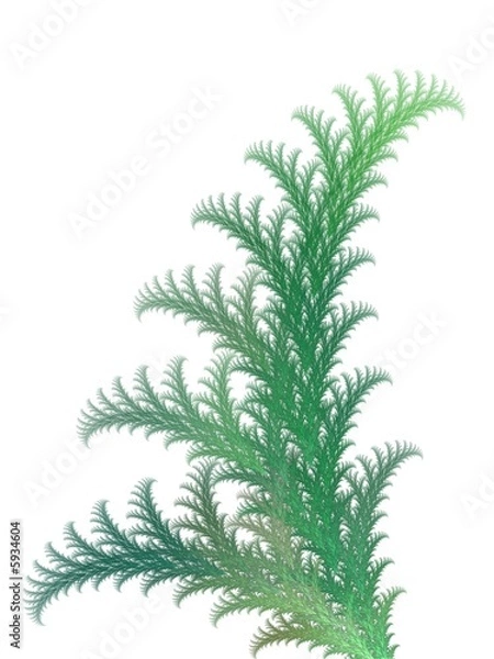 Fototapeta Abstract fractal background. Plant texture.