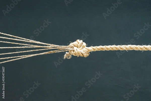 Fototapeta The connection of a twisted rope and several ropes with a knot. Teamwork, communication, help.