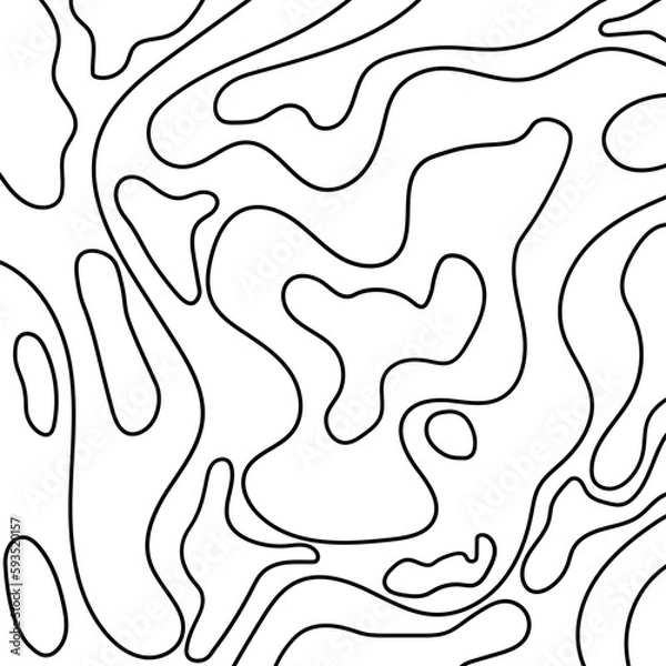 Fototapeta Topography pattern vector line with SVG format. Map background. Grid map