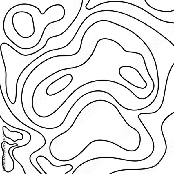 Fototapeta Topography pattern vector line with SVG format. Map background. Grid map