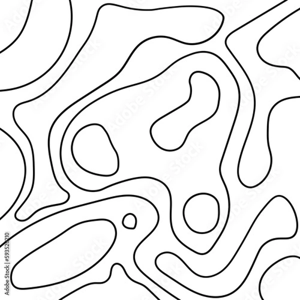 Fototapeta Topography pattern vector line with SVG format. Map background. Grid map