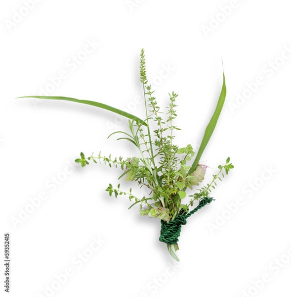 Obraz Bukiet ziołowy