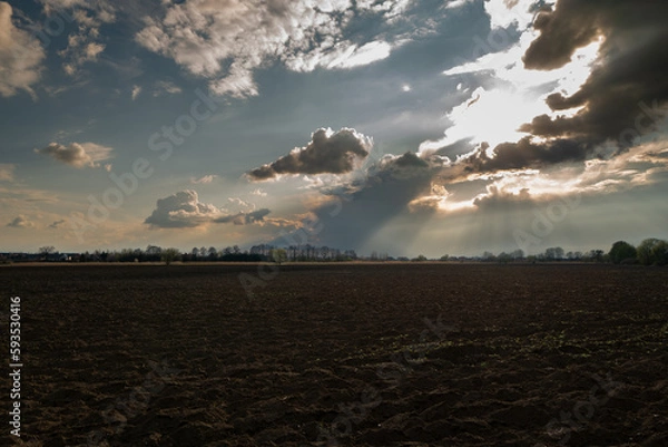 Obraz Promienie słońca 