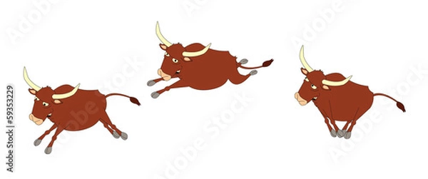 Obraz bull running