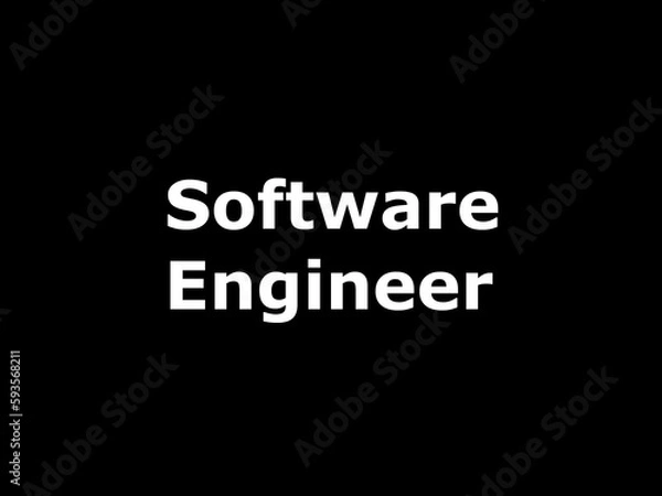 Fototapeta Software engineer
