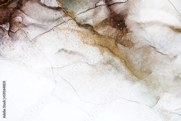 Obraz Alcohol ink abstract texture