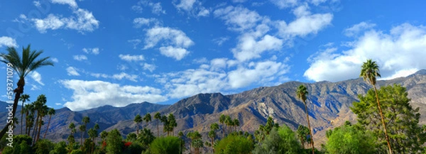 Obraz Palm Springs Pano