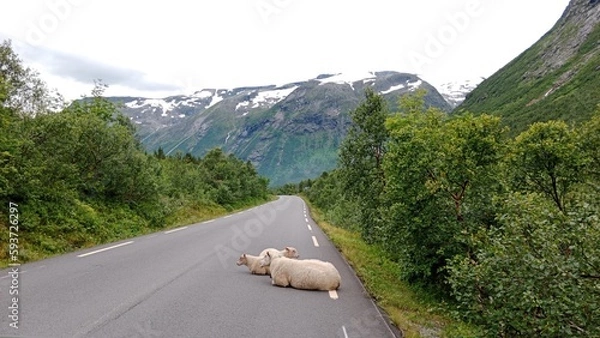 Obraz Road in Norway