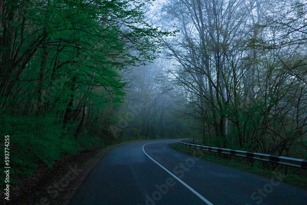 Fototapeta road in the morning woods