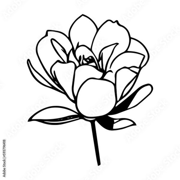 Fototapeta Flower Vector Icon