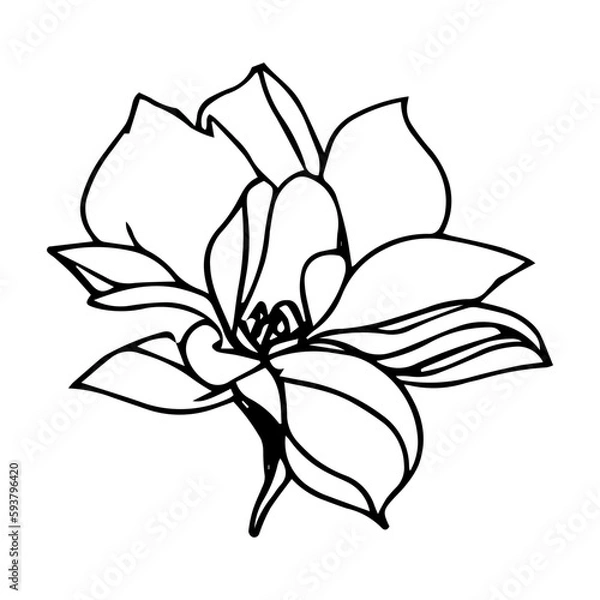 Fototapeta Flower Vector Icon