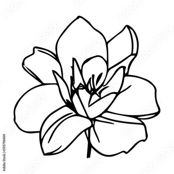 Fototapeta Flower Vector Icon