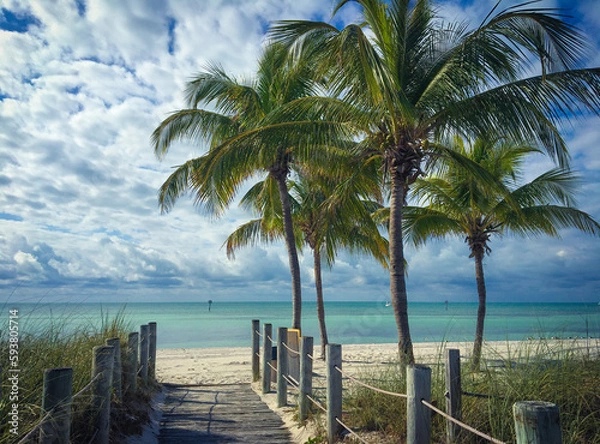 Obraz beach with palm trees