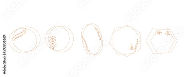 Fototapeta Botanical circle frame. Hand drawn round line border, Elegant minimal style vector isolated set