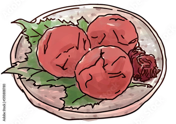 Fototapeta 日本食、、皿に乗った梅干しのベクターイラスト