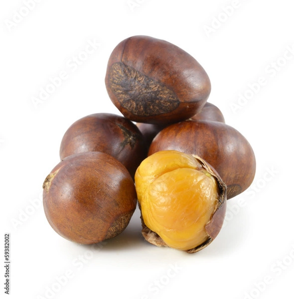 Fototapeta Sweet chestnut on white background