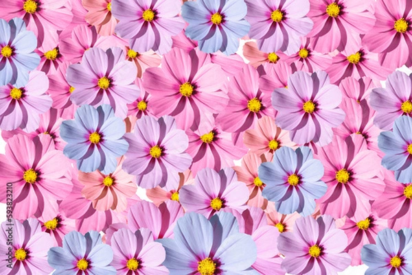 Fototapeta background with flowers