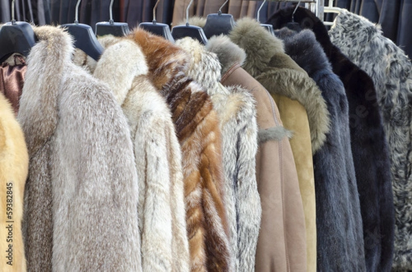 Obraz Row of coats made of animal fur