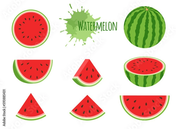 Fototapeta Watermelon icons set, half, slices and triangles. Cartoon Vector illustration.