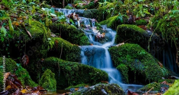 Fototapeta A beautiful waterfall