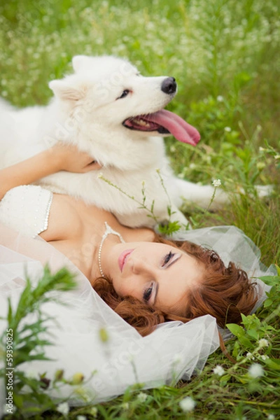 Obraz bride with a Samoyed