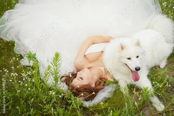 Obraz bride with a Samoyed