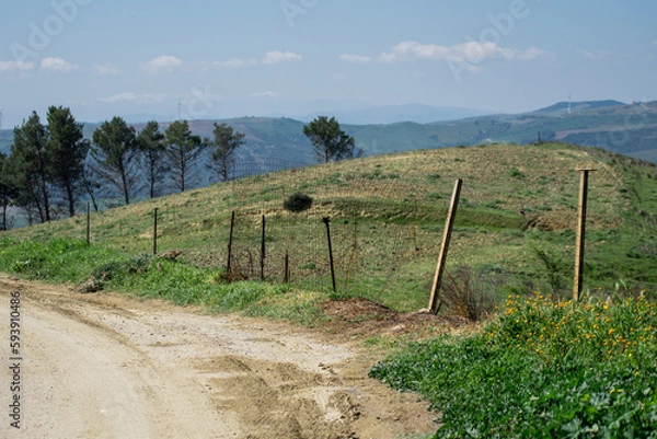 Obraz countryside field in Basilicata, South Italy 
