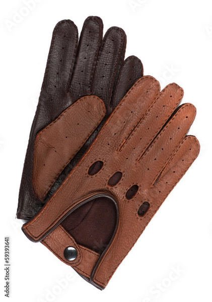 Obraz race gloves