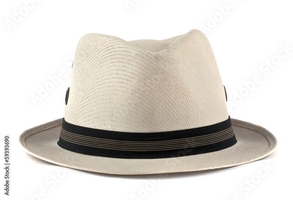 Obraz white hat