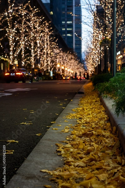 Obraz 丸の内イルミネーション