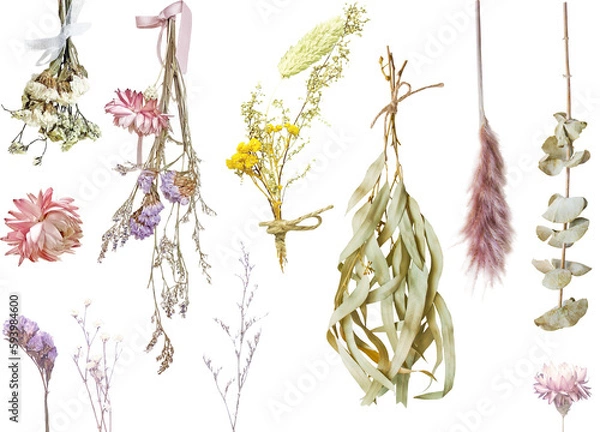 Fototapeta 切り抜き透過素材セットードライフラワー2