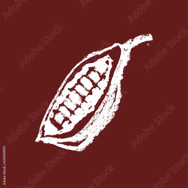 Fototapeta Vector Cocoa bean icon. Hand drawn sketch Cacao beans. Leaves of Cocoa bean isolated. Sign of Bean to bar cacao. Organic product doodle for cafe, shop, menu. Plant part for label, logo, sign, symbol.