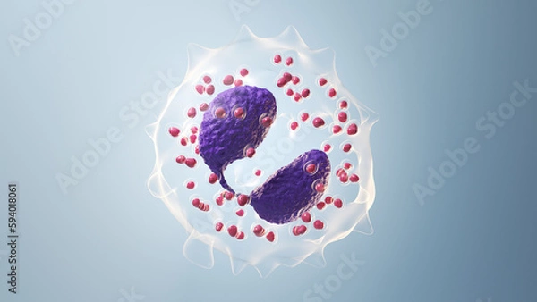 Fototapeta 3d illustration of an eosinophil
