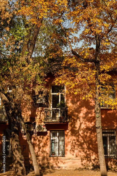 Obraz house in autumn