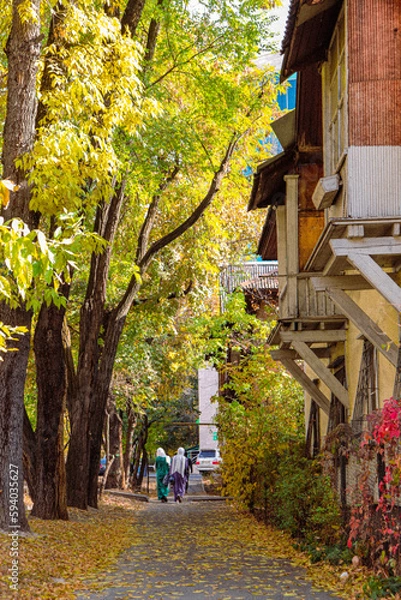 Obraz autumn in the park