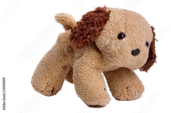 Fototapeta small plush stuffed dog isolates over white