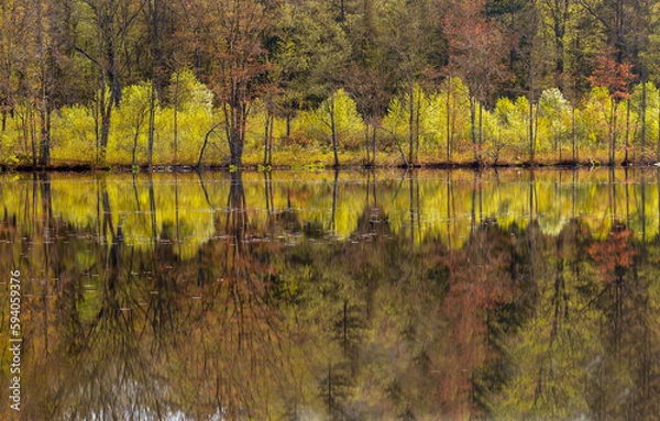 Fototapeta autumn trees reflected in water