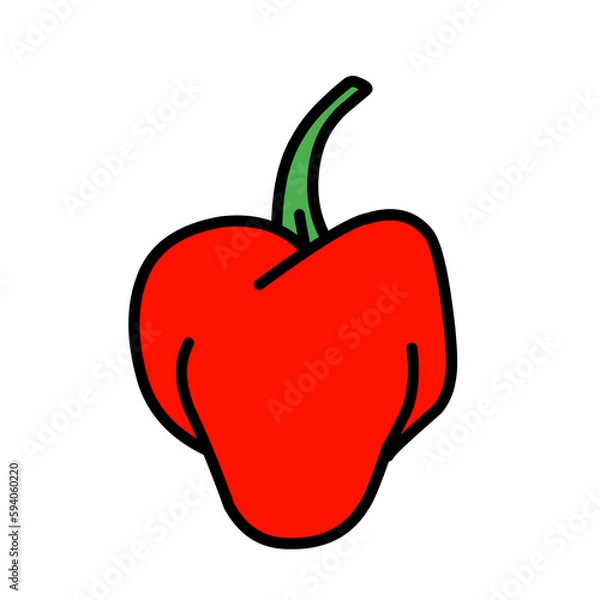 Obraz chilli red pepper vegetable