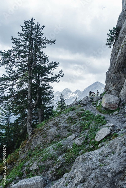 Fototapeta Albanian Alps view. Accursed Mountains landscape viewed from Valbona 