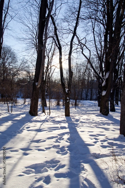 Obraz Winter landscape