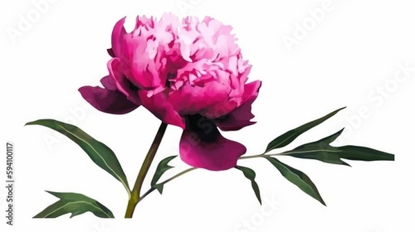 Obraz Bold minimalist botanical illustration