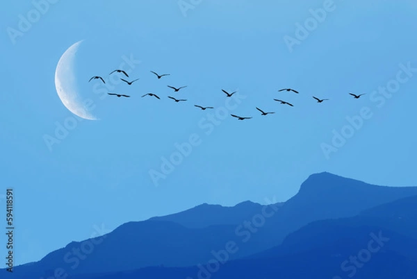 Obraz Flock of birds flying over mountain range