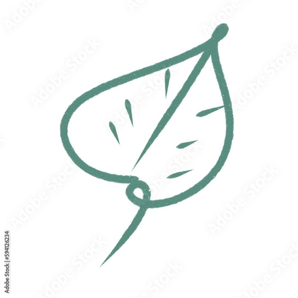 Obraz green leaf isolated on white, Illustration digital art.