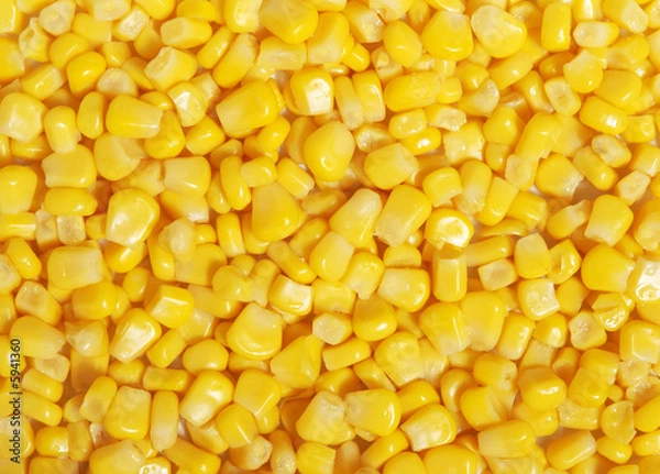 Obraz Chicchi di mais