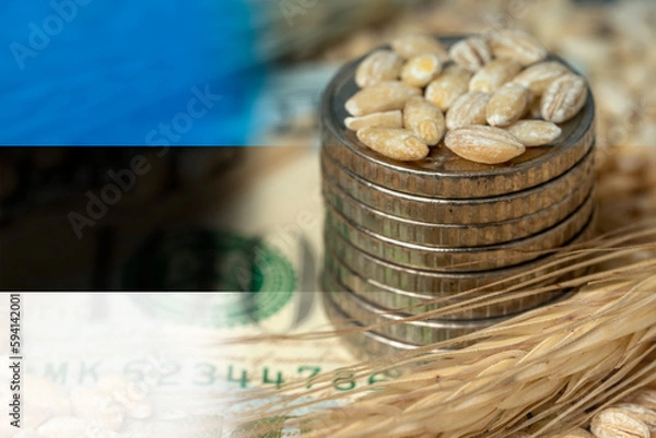 Fototapeta Estonian flag on a grain background with coins close-up. Export of wheat and grain. World food crisis. Export logistics solution