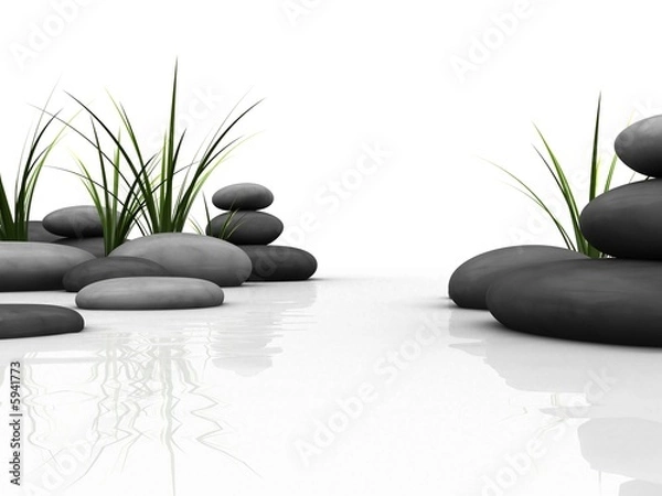 Obraz steine und gras