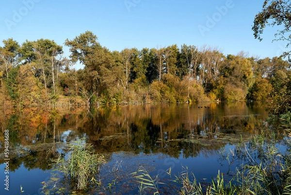 Obraz Autumn Rechka Psel - will be an excellent gadget screensaver